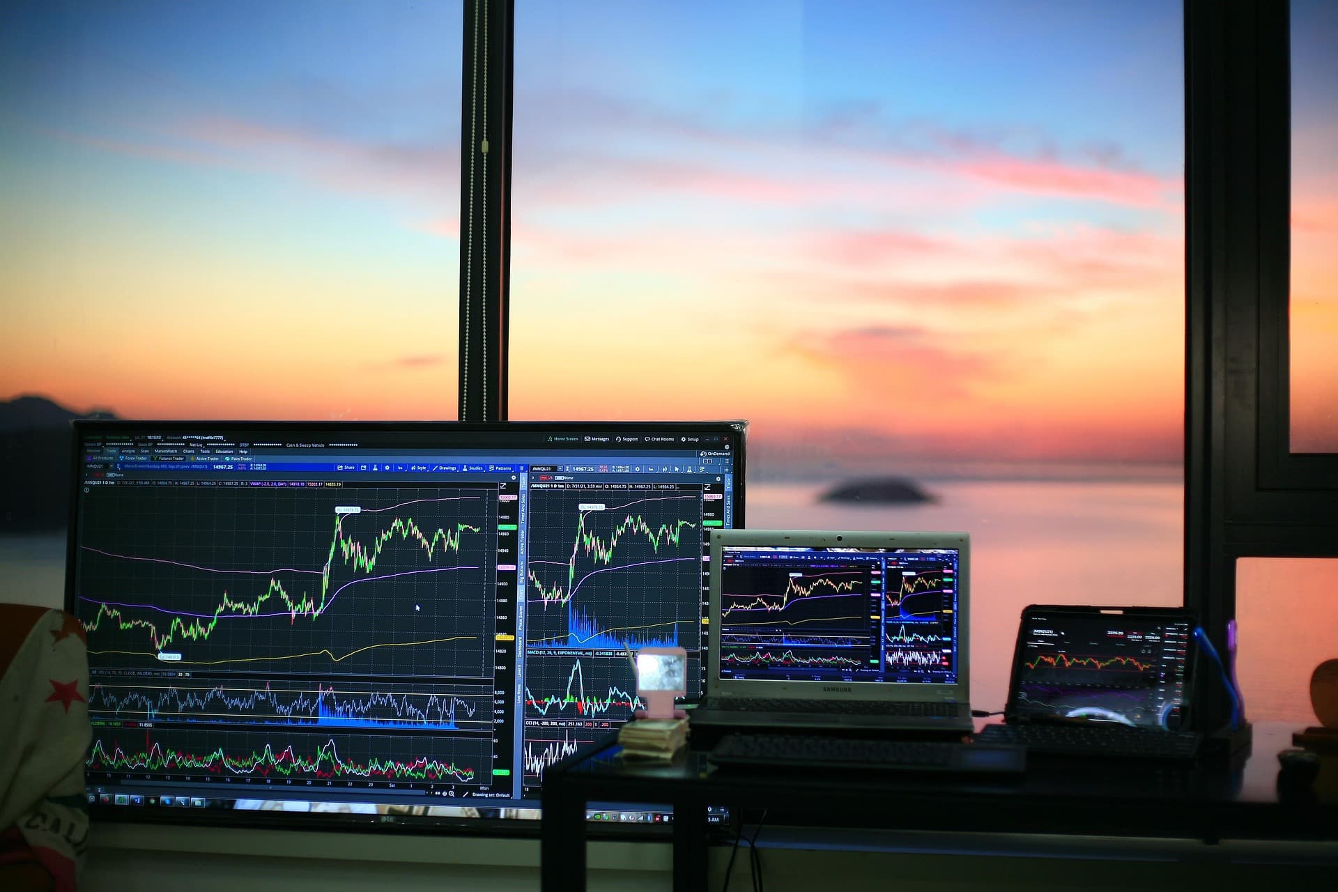 The silent pillar: How domestic mutual funds stabilize Nifty 50 moves